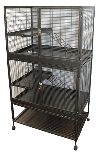 Helping You Choose The Right Degu Cage