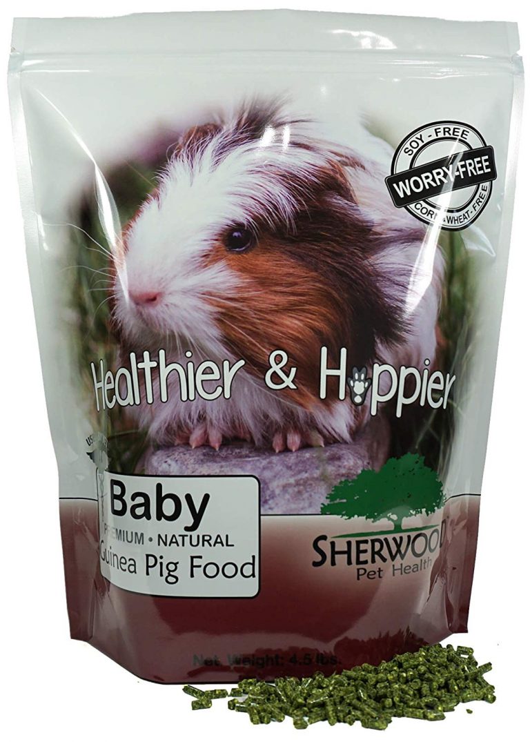 Image result for What Do Guinea Pigs Eat? - Small Furry Pets