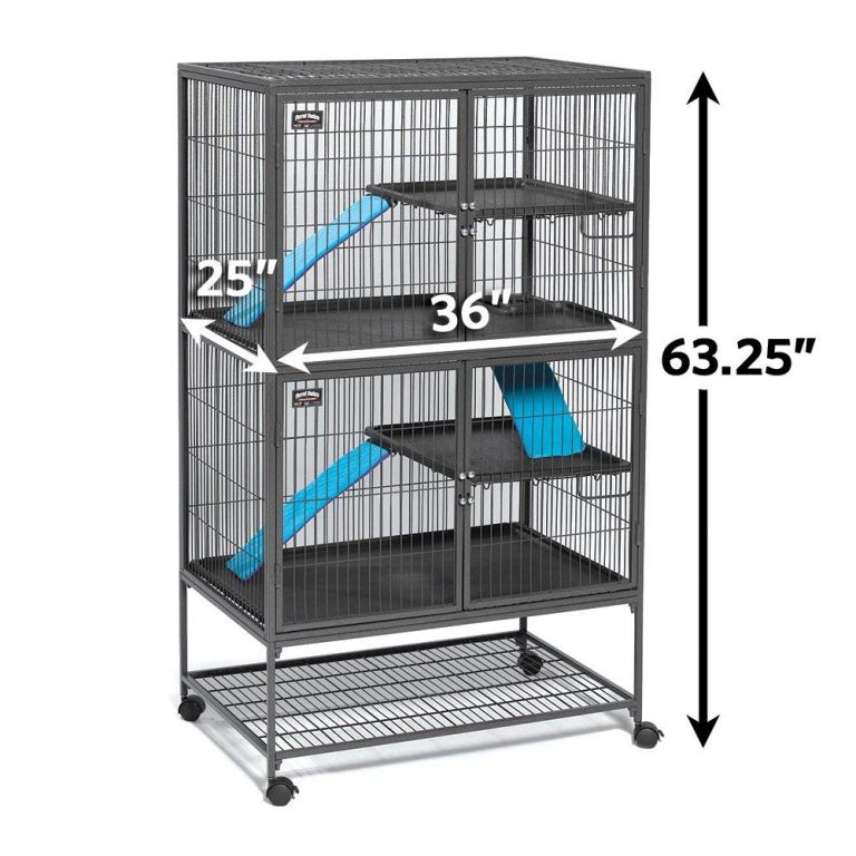 View of Ferret Care: Suitable Ferret Cages To Choose From - Small Furry Pets