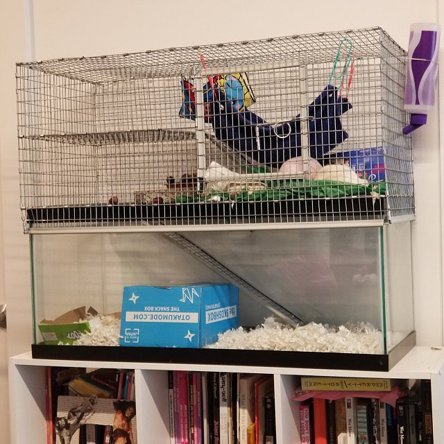 ikea detolf hamster cage lid for sale