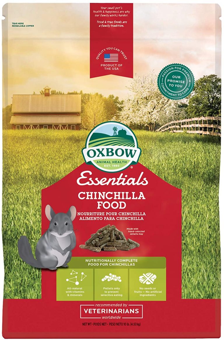 What Do Chinchillas Eat? Small Furry Pets